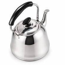 5L Stainless Steel Kettle with Black Handle