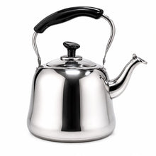3L Stainless Steel Kettle with Black Handle