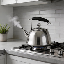 Stainless Steel Tea Kettle 2 Liter