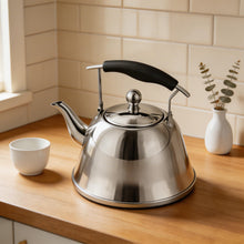 Stainless Steel Tea Kettle 2 Liter