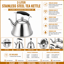 3 Liter Stainless Steel Tea Kettle