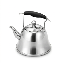 3 Liter Stainless Steel Tea Kettle