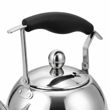 4 Liter Stainless Steel Tea Kettle