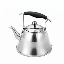 4 Liter Stainless Steel Tea Kettle