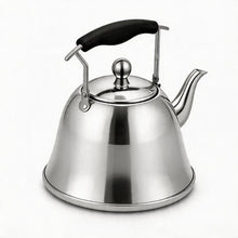 5 Liter Stainless Steel Tea Kettle