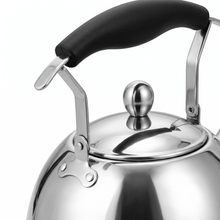 6 Liter Stainless Steel Tea Kettle