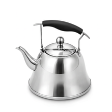 6 Liter Stainless Steel Tea Kettle