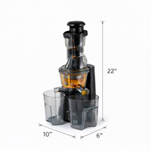 Slow Cold Press Juicer Machine - with Dual Juice Containers