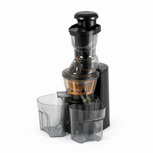 Slow Cold Press Juicer Machine - with Dual Juice Containers