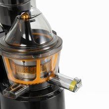 Slow Cold Press Juicer Machine - with Dual Juice Containers