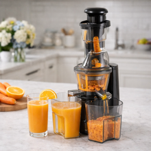 Slow Cold Press Juicer Machine - with Dual Juice Containers