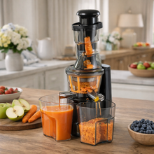 Slow Cold Press Juicer Machine - with Dual Juice Containers