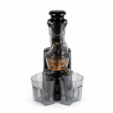 Slow Cold Press Juicer Machine - with Dual Juice Containers
