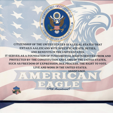 US Citizenship Certificate Cover Faux Leather