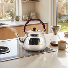 Stainless Steel Tea Kettle with Gold Accents & Heat-Resistant Handle - 2L