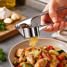 Stainless Steel Garlic Press Crusher with Long Handles, 6.5 Inch