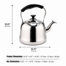 4L Stainless Steel Kettle with Black Carry Handle & Hinged Spout Cover – Silver