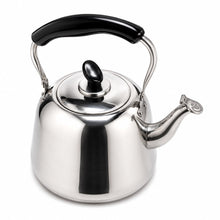 4L Stainless Steel Kettle with Black Carry Handle & Hinged Spout Cover – Silver