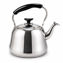 5L Stainless Steel Kettle with Black Handle & Spout Cover
