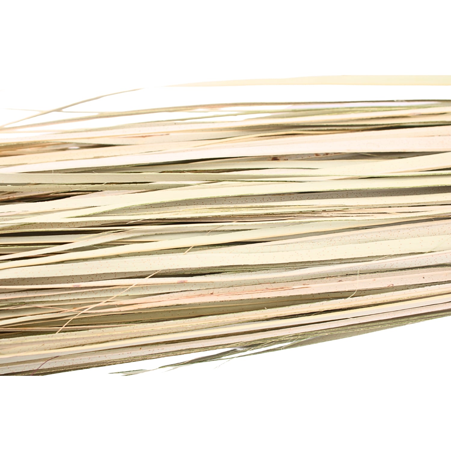 Hodeidah Stick Broom 27.5" x 2.5" x 2.25" | www.eladhamdist.com