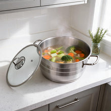 OZ Life Stainless Steel Dual-Handle Cooking Pot with Glass Lid - 10.25" X 6.25"