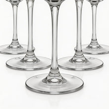 Clear Stemmed Wine Glass Set - Classic Round Bowl Drinking Glasses (Set of 6)